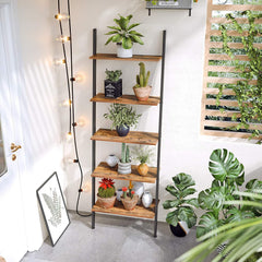 Rustic Ladder Shelves