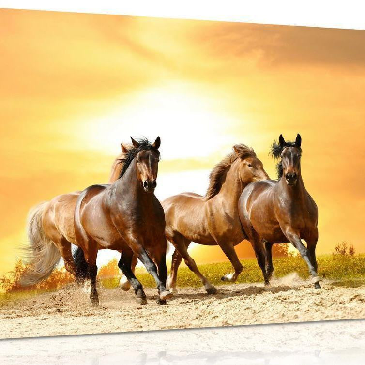 Running Wild Horses Canvas