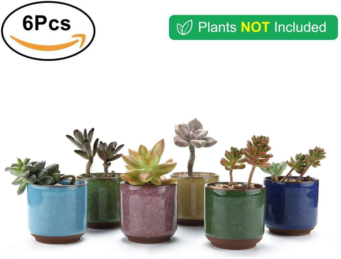 Full Colors Ceramic Plant Pots