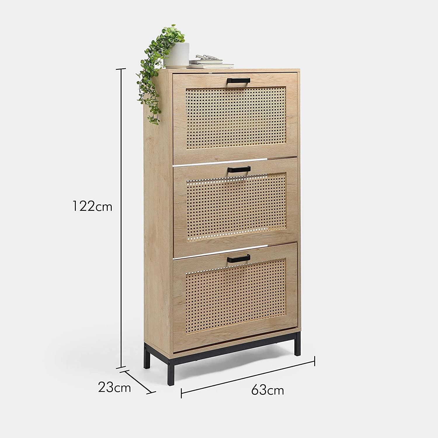 Industrial Rattan Style Shoe Cabinet