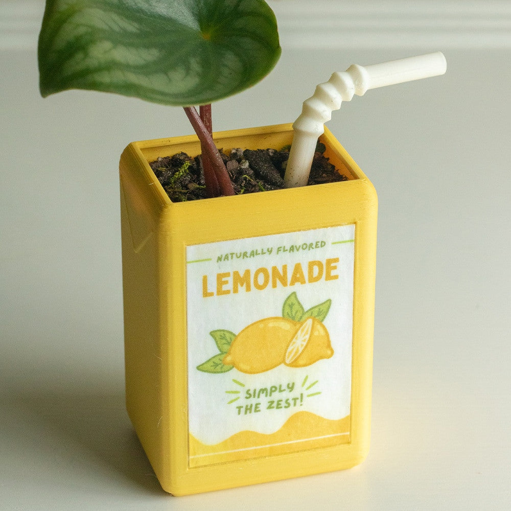 Juice Box Planter