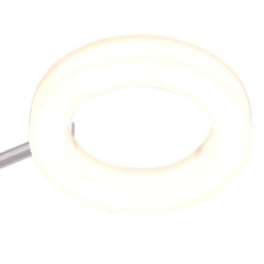 Warm White LED Ceiling Lamp with 6 Lights