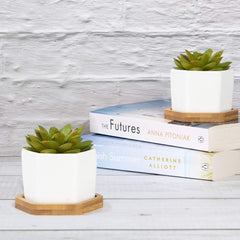 Classic Ceramic Hexagon Succulent Pot Info