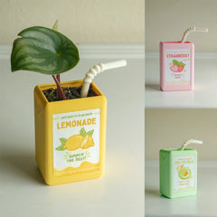 Juice Box Planter