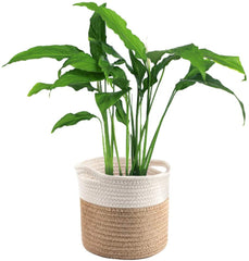 Cotton Rope Plant Basket