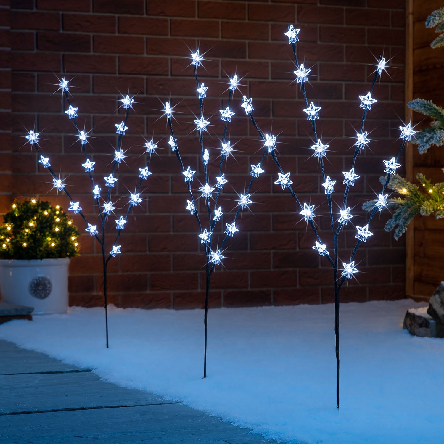 Magical Star Garden Lights