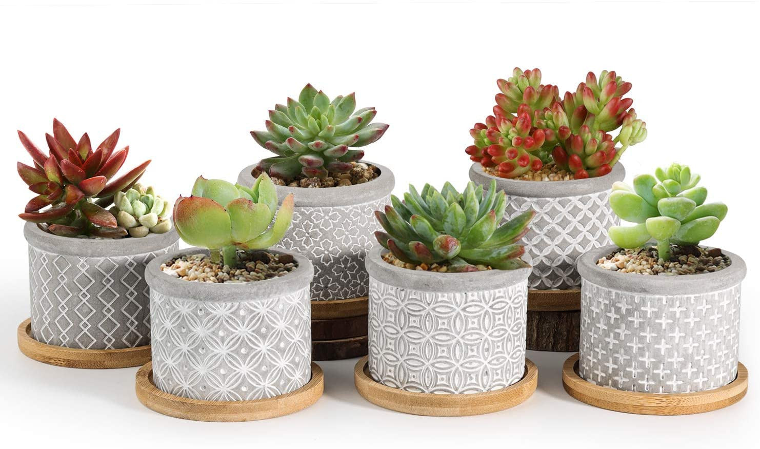 Grey Classic Succulent Pot Info