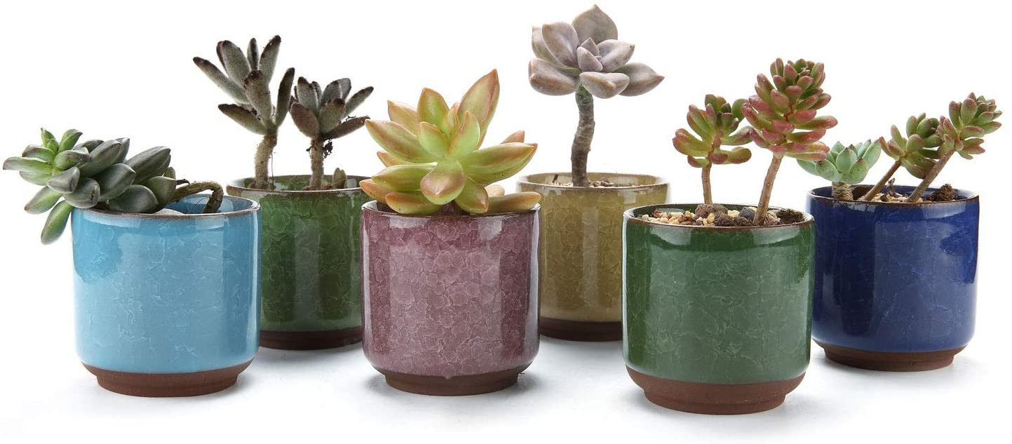 Full Colors Ceramic Plant Pots