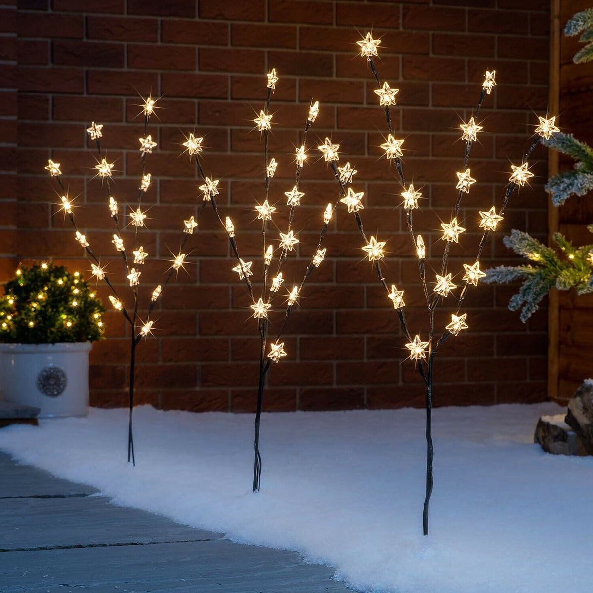 Magical Star Garden Lights