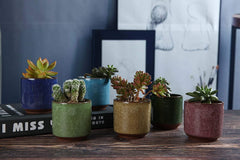 Full Colors Ceramic Plant Pots