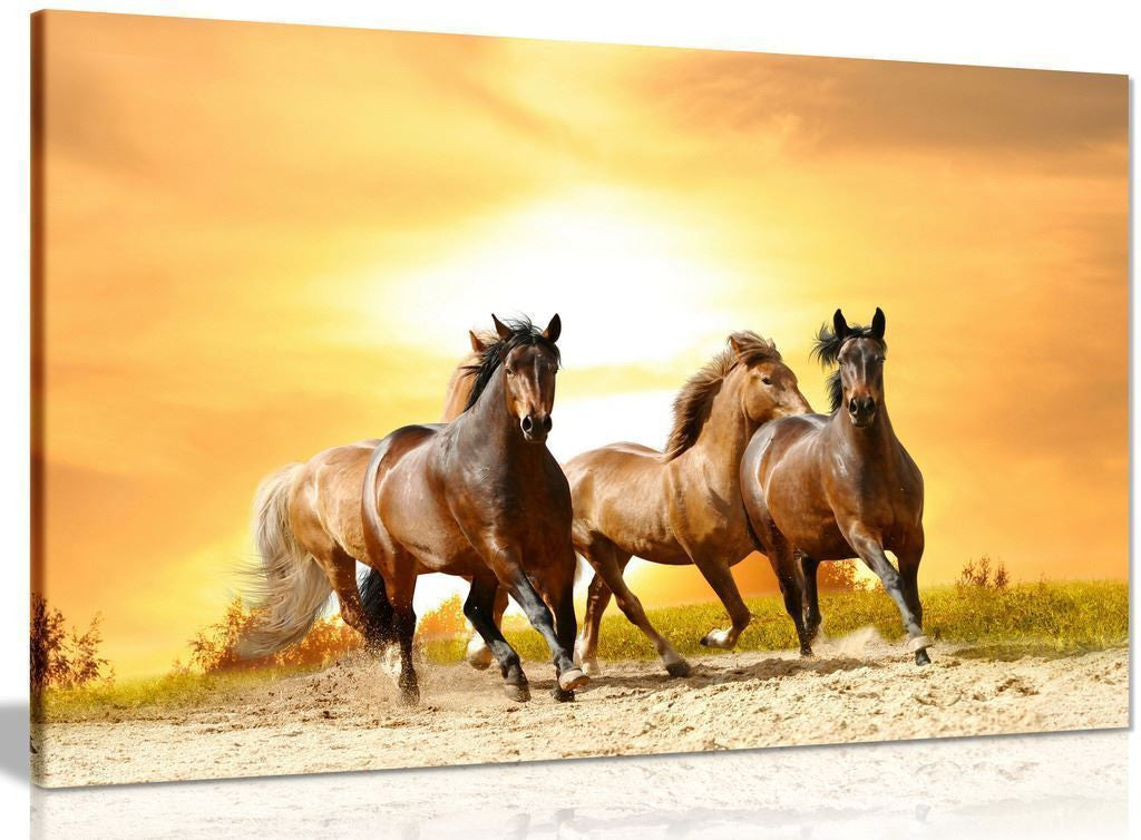 Running Wild Horses Canvas