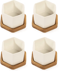 Classic Ceramic Hexagon Succulent Pot Info